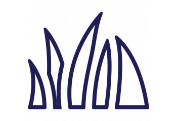 Натуральный газон