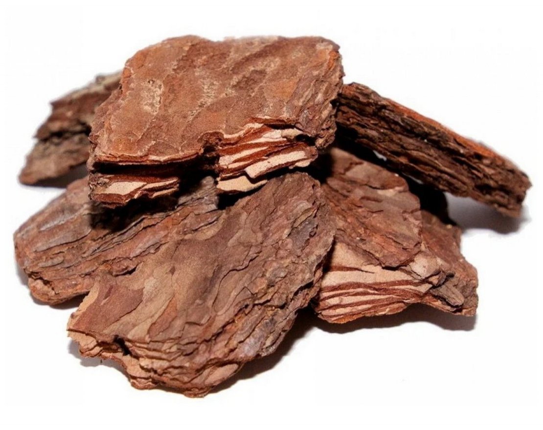 Кора сибирской лиственницы большая 10 см - вид 1