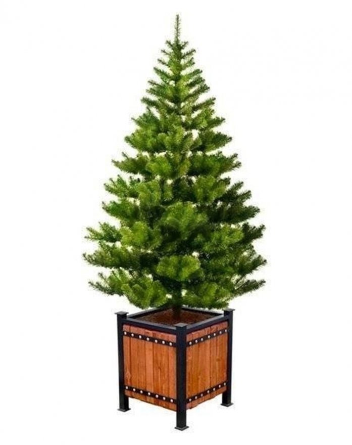 Цветочница парковая Кипрей 4 - вид 1